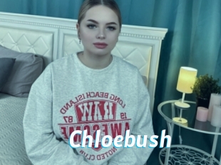 Chloebush