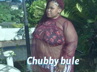 Chubby_bule