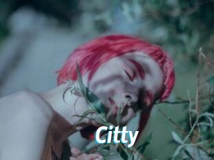 Citty