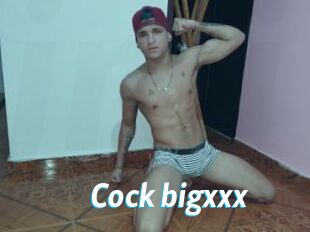 Cock_bigxxx