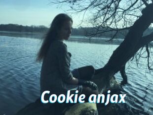 Cookie_anjax