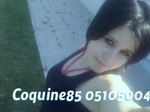 Coquine85-05105004