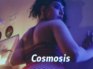 Cosmosis
