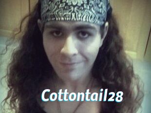 Cottontail28