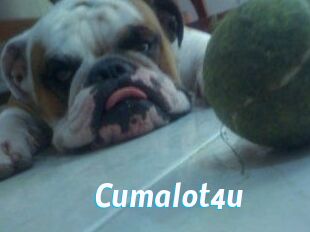 Cumalot4u
