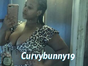 Curvybunny19