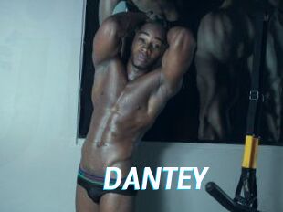 DANTE_Y