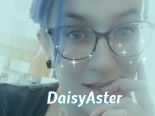 DaisyAster