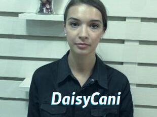 DaisyCani