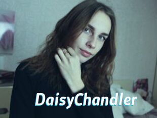 Daisy_Chandler