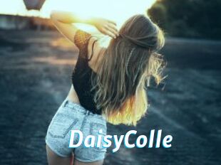DaisyColle