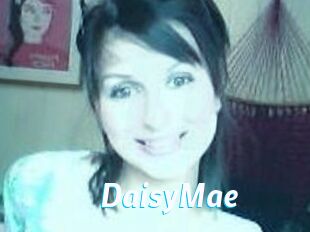 Daisy_Mae