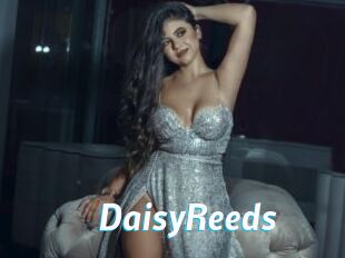 DaisyReeds