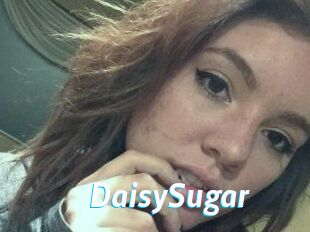 Daisy_Sugar