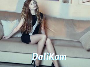 DaliKam