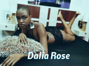 Dalia_Rose