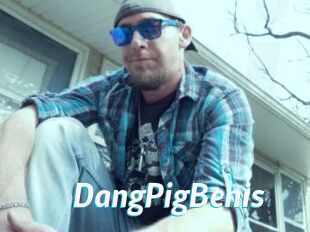 DangPigBenis