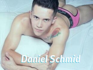Daniel_Schmid
