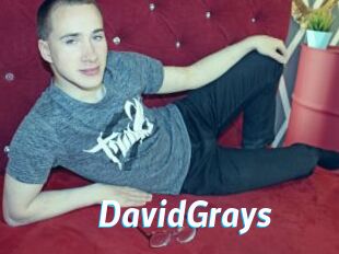 DavidGrays
