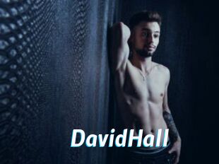 DavidHall