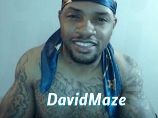 David_Maze