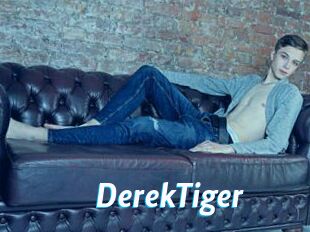 DerekTiger