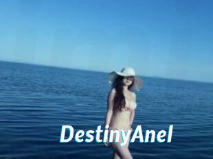 DestinyAnel