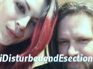 DeziDisturbedandEsection