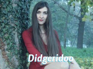 Didgeridoo