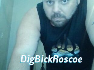 DigBickRoscoe