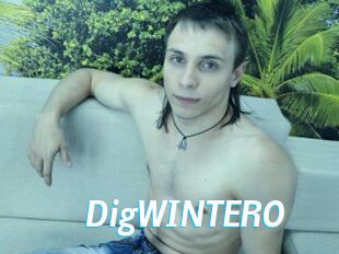 DigWINTERO