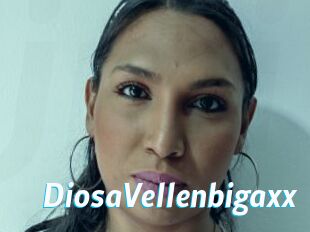 DiosaVellenbigaxx
