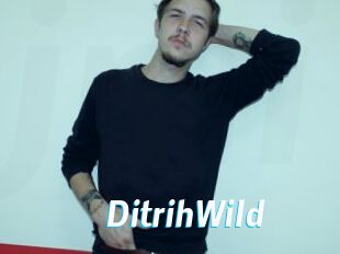 DitrihWild