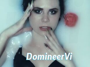 DomineerVi