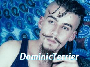 DominicTerrier