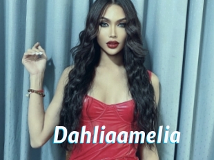 Dahliaamelia