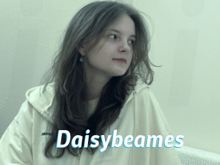 Daisybeames