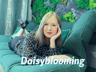 Daisyblooming