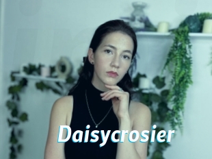 Daisycrosier