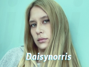 Daisynorris