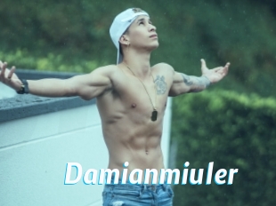 Damianmiuler