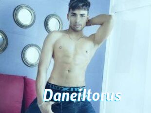 Daneil_torus