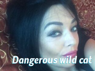 Dangerous_wild_cat