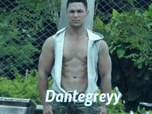 Dantegreyy