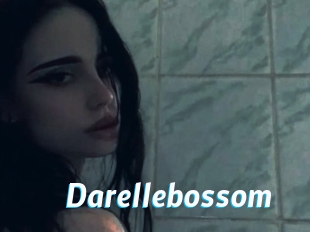 Darellebossom