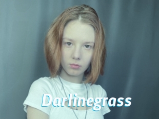 Darlinegrass
