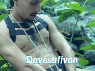 Davesulivan
