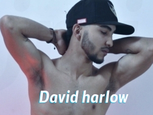 David_harlow