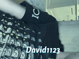 David1123