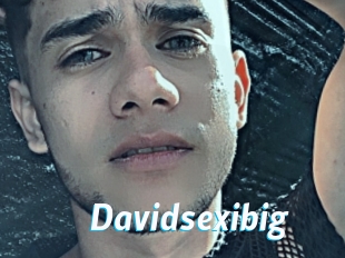 Davidsexibig